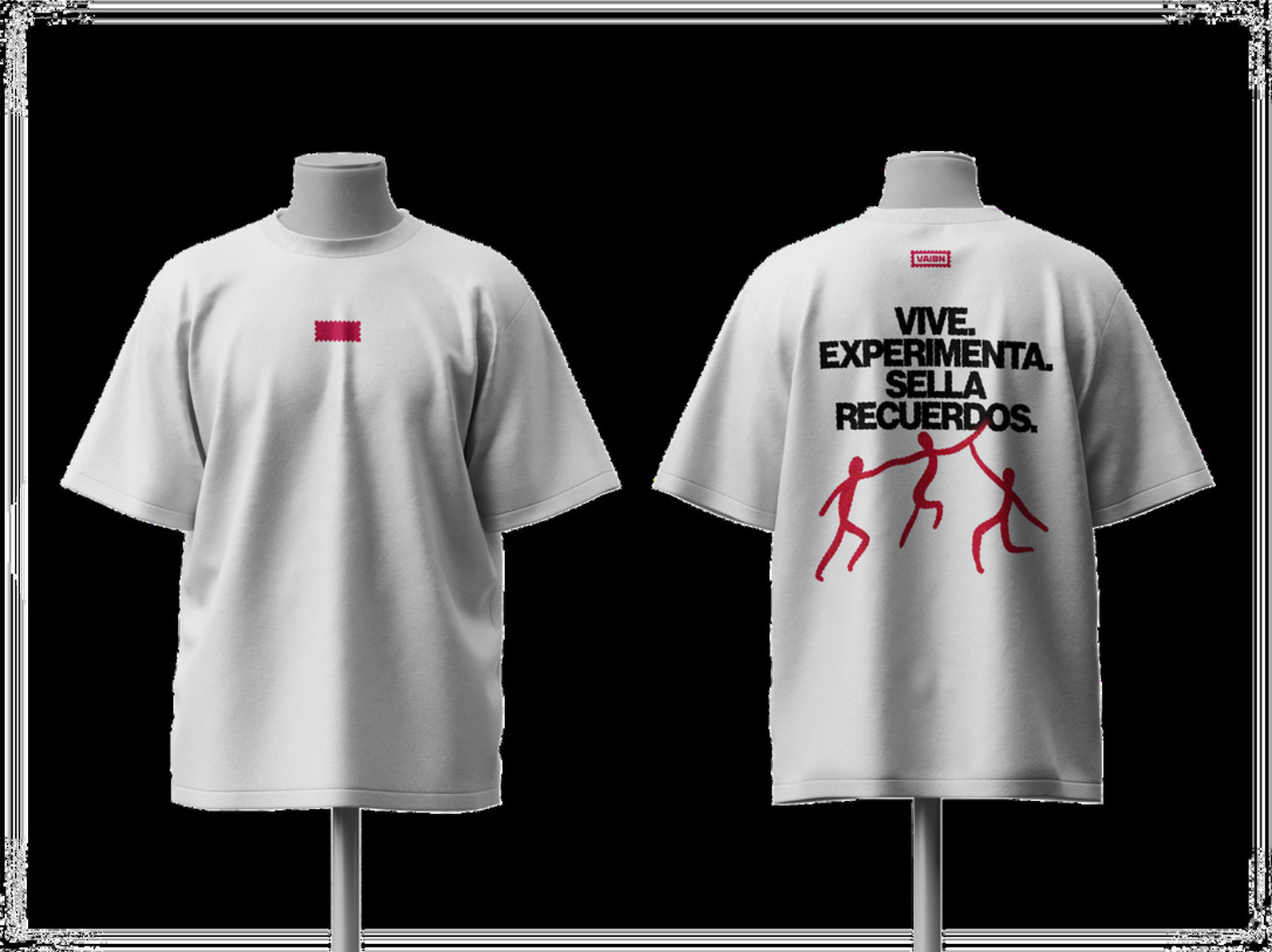 VAIBN brand application 2